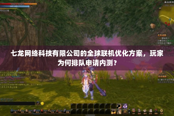 七龙网络科技有限公司的全球联机优化方案，玩家为何排队申请内测？