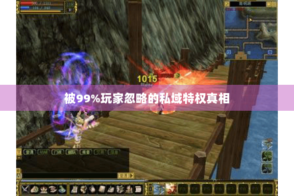 被99%玩家忽略的私域特权真相