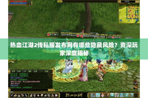 热血江湖2传私服发布网有哪些隐藏风险？资深玩家深度揭秘