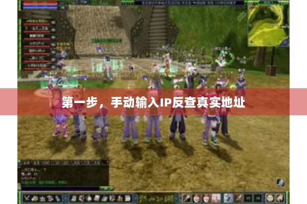 第一步，手动输入IP反查真实地址
