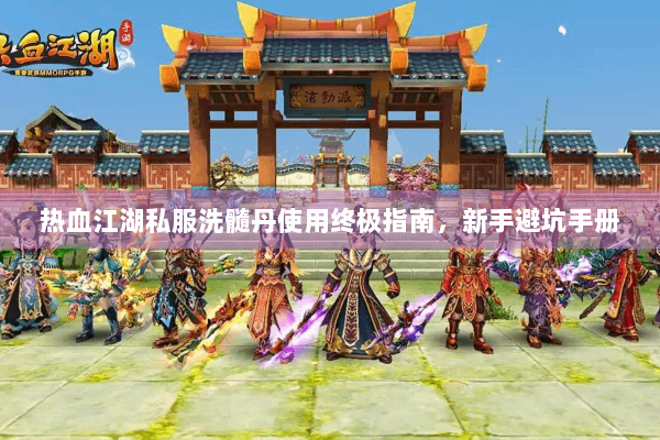 热血江湖私服洗髓丹使用终极指南，新手避坑手册