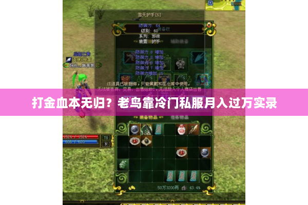 打金血本无归？老鸟靠冷门私服月入过万实录