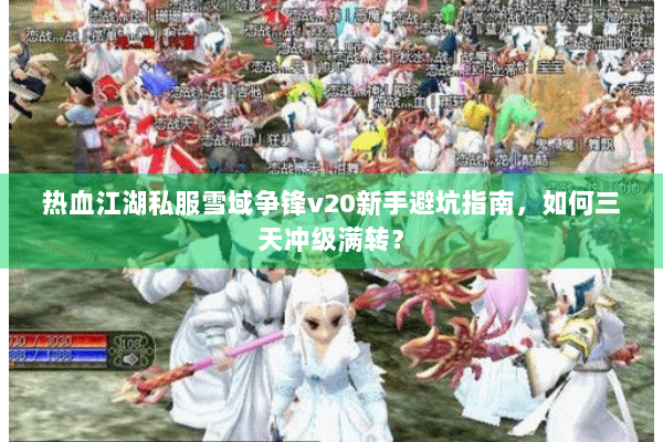 热血江湖私服雪域争锋v20新手避坑指南，如何三天冲级满转？