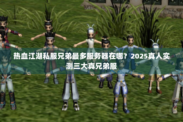 热血江湖私服兄弟最多服务器在哪？2025真人实测三大真兄弟服