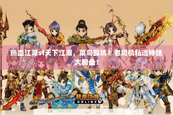 热血江湖sf天下江湖，菜鸟踩坑？老司机私选神技大翻盘！