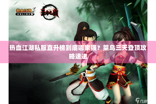 热血江湖私服直升榜到底哪家强？菜鸟三天登顶攻略速递