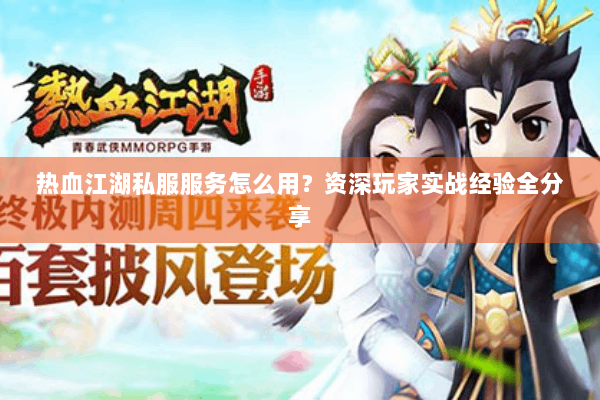 热血江湖私服服务怎么用？资深玩家实战经验全分享