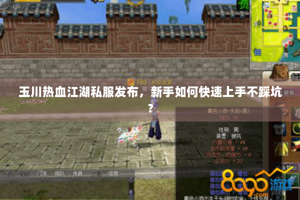 玉川热血江湖私服发布，新手如何快速上手不踩坑？