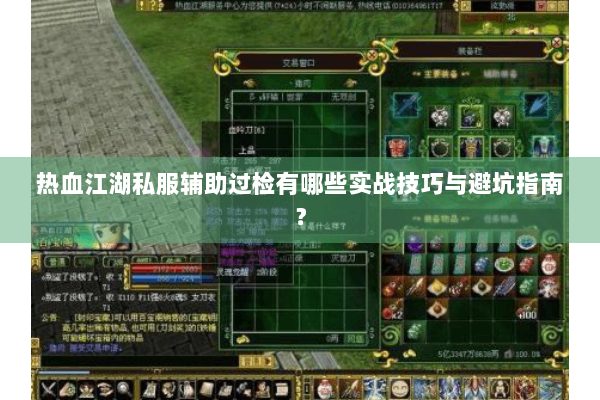 热血江湖私服辅助过检有哪些实战技巧与避坑指南？