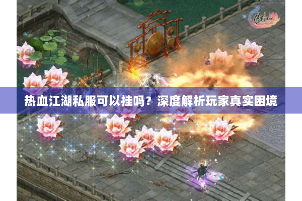 热血江湖私服可以挂吗？深度解析玩家真实困境