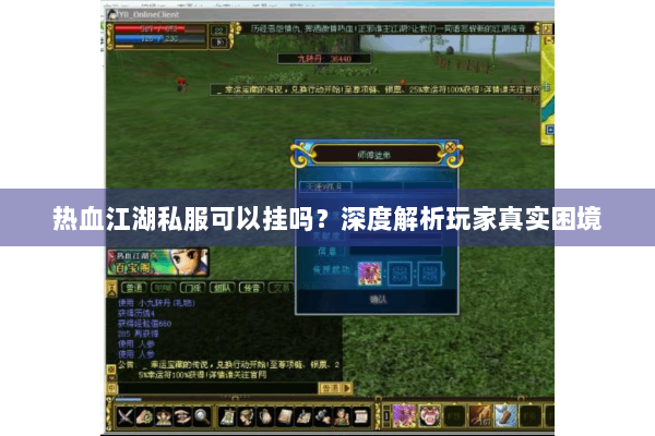 热血江湖私服可以挂吗？深度解析玩家真实困境