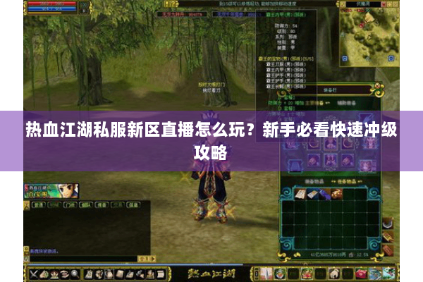 热血江湖私服新区直播怎么玩？新手必看快速冲级攻略