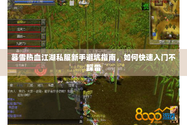 暮雪热血江湖私服新手避坑指南，如何快速入门不踩雷