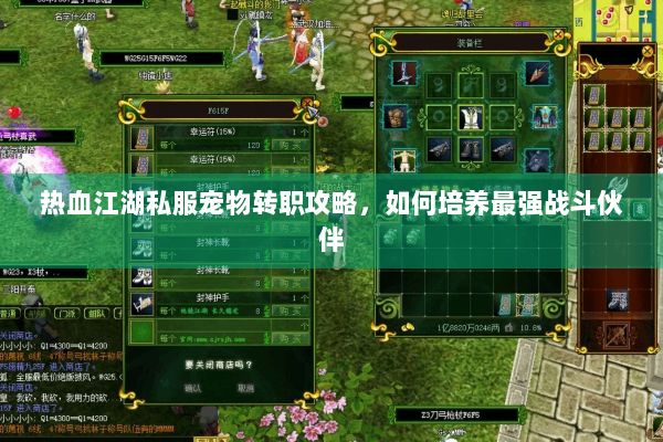 热血江湖私服宠物转职攻略，如何培养最强战斗伙伴