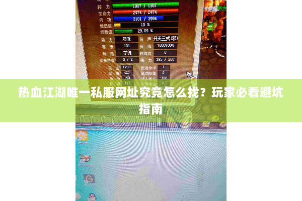 热血江湖唯一私服网址究竟怎么找？玩家必看避坑指南