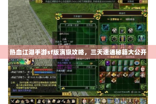 热血江湖手游sf版满级攻略，三天速通秘籍大公开