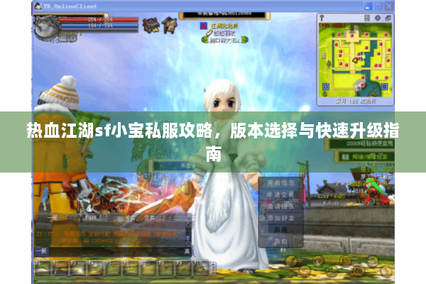 热血江湖sf小宝私服攻略，版本选择与快速升级指南
