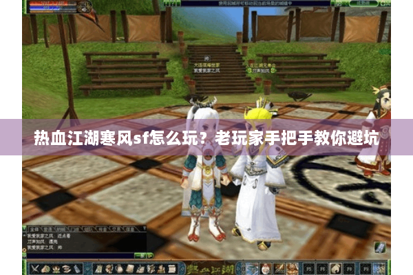 热血江湖寒风sf怎么玩？老玩家手把手教你避坑