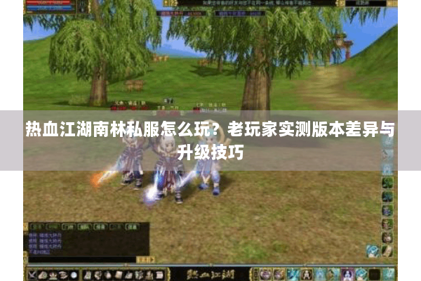热血江湖南林私服怎么玩？老玩家实测版本差异与升级技巧