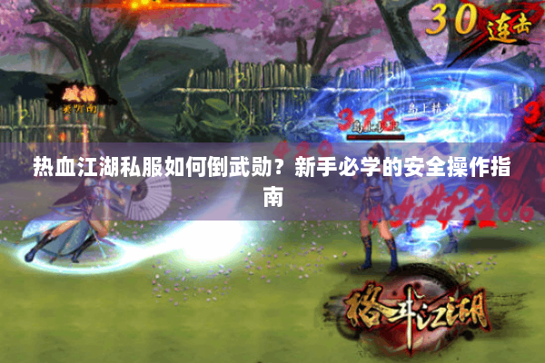 热血江湖私服如何倒武勋？新手必学的安全操作指南