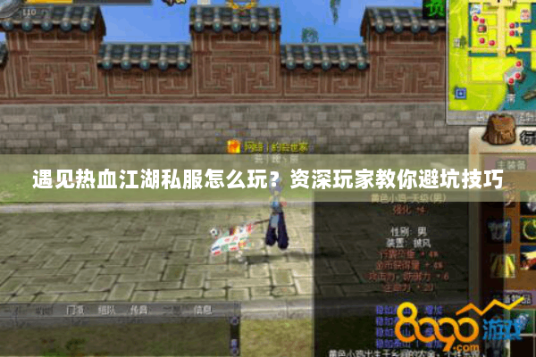 遇见热血江湖私服怎么玩？资深玩家教你避坑技巧