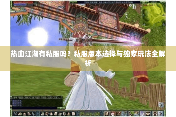 热血江湖有私服吗？私服版本选择与独家玩法全解析
