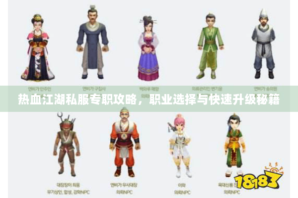 热血江湖私服专职攻略，职业选择与快速升级秘籍