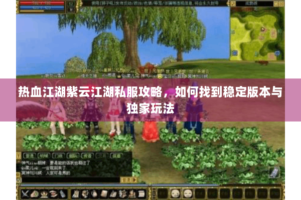 热血江湖紫云江湖私服攻略，如何找到稳定版本与独家玩法