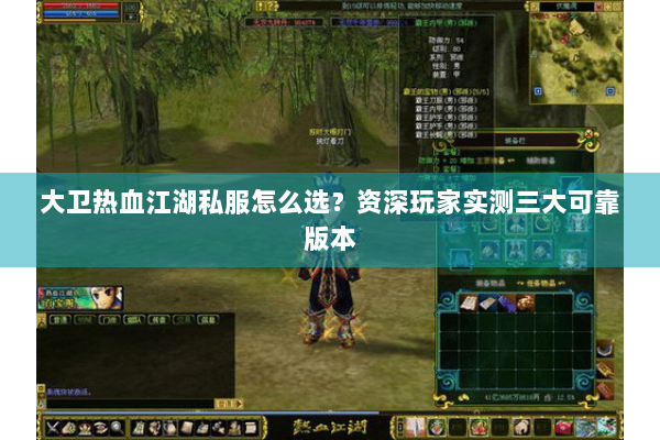 大卫热血江湖私服怎么选？资深玩家实测三大可靠版本