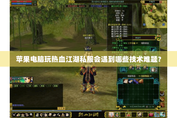 苹果电脑玩热血江湖私服会遇到哪些技术难题？