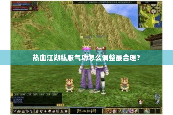热血江湖私服气功怎么调整最合理？