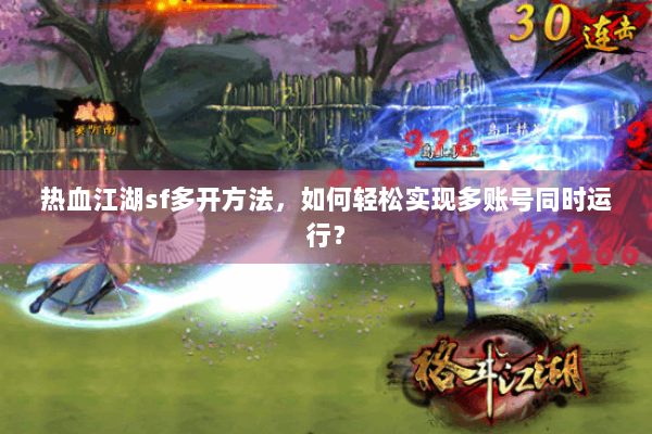 热血江湖sf多开方法，如何轻松实现多账号同时运行？