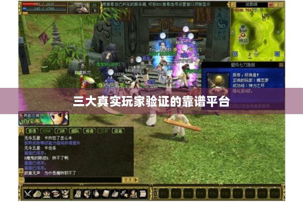 三大真实玩家验证的靠谱平台